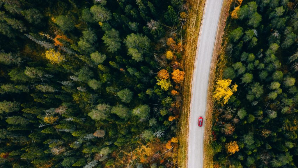 forest-with-road-1024x576